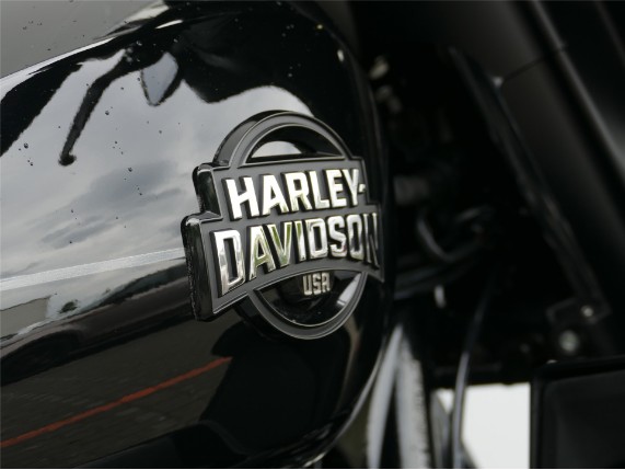 HARLEY-DAVIDSON SREET GLIDE ULTRA, 0009503