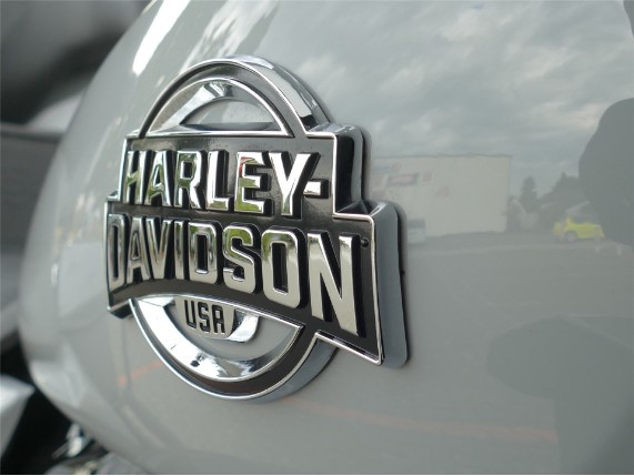 HARLEY-DAVIDSON SREET GLIDE ULTRA, 0009503