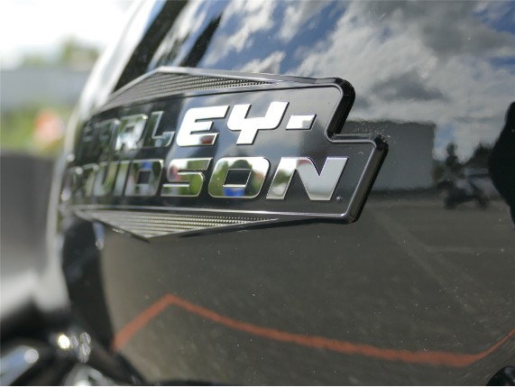 HARLEY DAVIDSON STREET GLIDE, 0009538