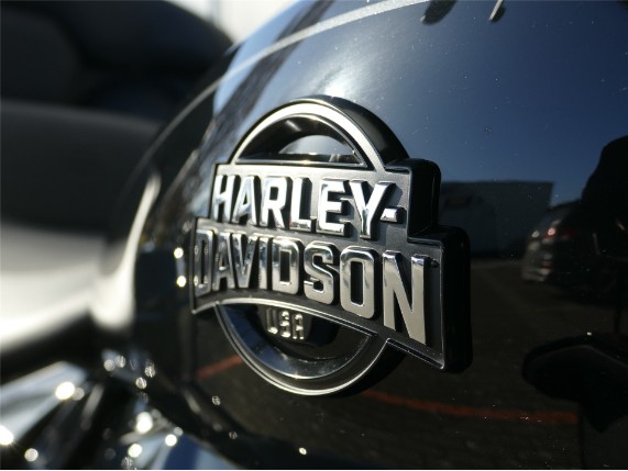 HARLEY-DAVIDSON STREET GLIDE LIMITED, 0009726
