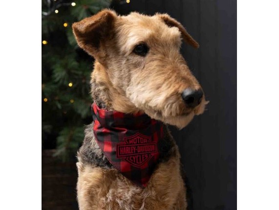 HDX-90210, Hunde Bandana ''H-D Holiday''