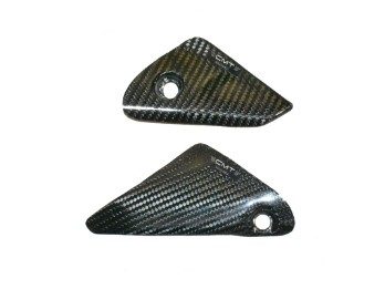 Carbon Protection Rear Panel