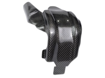 Carbon Motorschutz