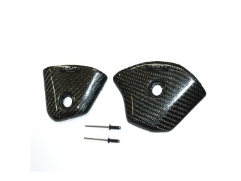 Carbon Protection Rear Panels