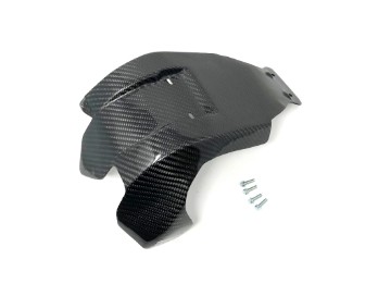 Carbon Motorschutzplatte