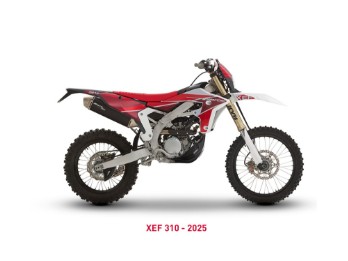 XEF 310 2025