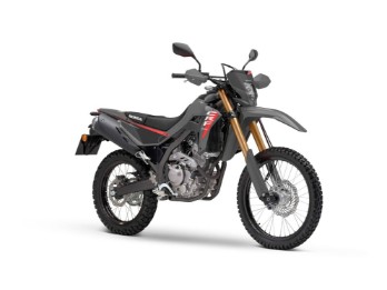 CRF300L NEU 2025