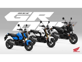 MSX125 NEU