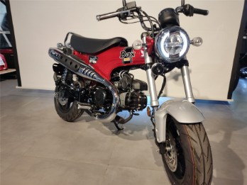 ST125 Dax  "NEU"