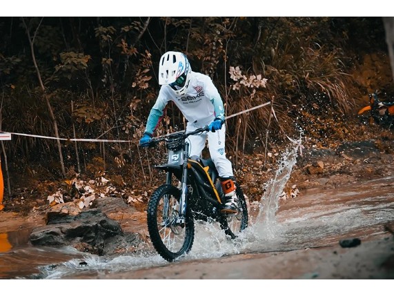 79 BIKE Falcon Pro Elektro Bike, 0038907