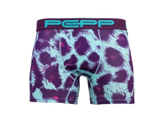 Cheetah_1