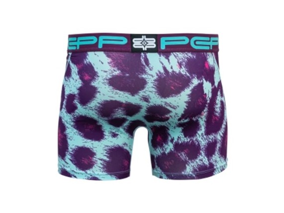 Cheetah_2