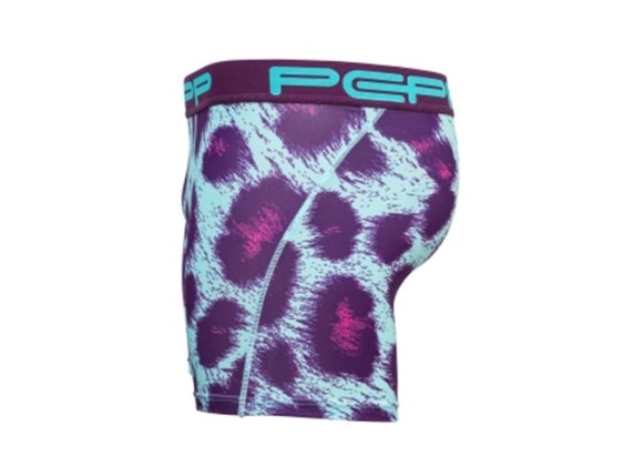 Cheetah_3