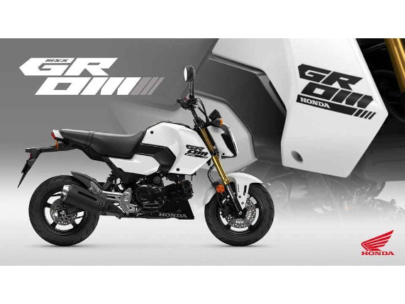 HONDA MSX125 NEU 2025, ONLINE