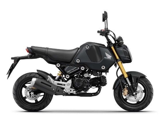 HONDA MSX125 NEU 2025, ONLINE