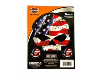 HD American Skull Flag