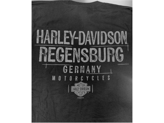 herren-backprint-7796