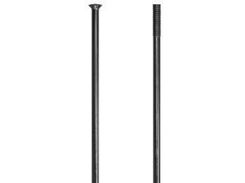 DT Swiss Champion Straight Pull Speiche 66/60