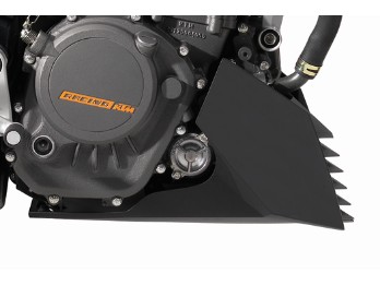 Bugspoiler 390 Duke