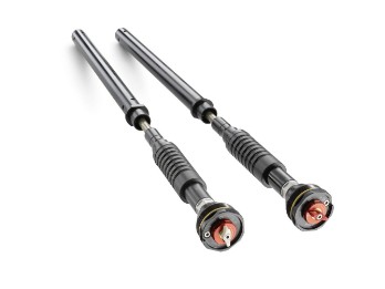 WP APEX PRO 6500 Cartridge 990 Duke R