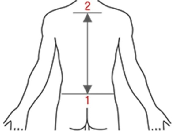 ortema-ortho-max-ruecken-messanleitung-93768