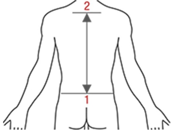 ortema-ortho-max-ruecken-messanleitung