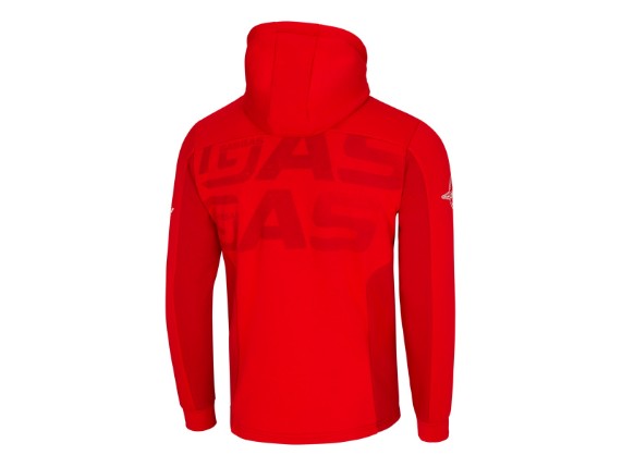 pho_gg_pw_pers_rs_3gg25002220x_team_zip_hoodie_back__sall__awsg__v1