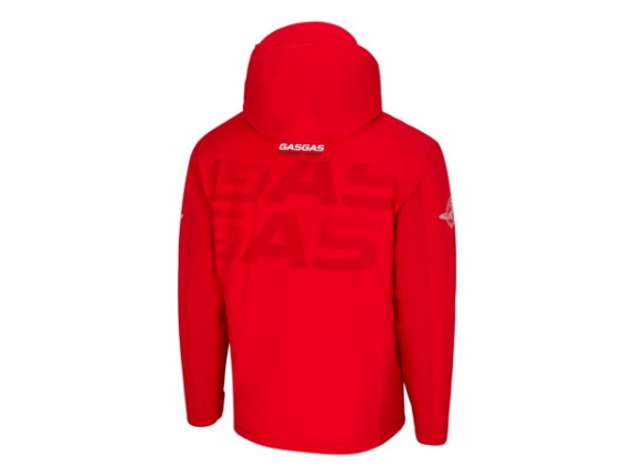 pho_gg_pw_pers_rs_92208_3gg25002280x_team_winter_jacket_back__sall__awsg__v1