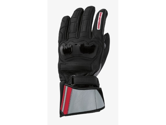 Handschuhe Pro Race 2
