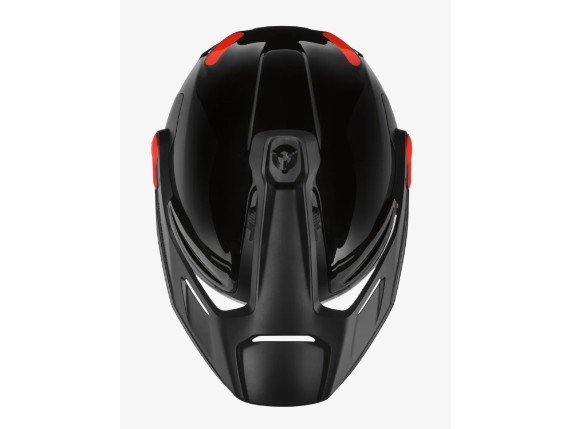 Helm GS Carbon sz 6