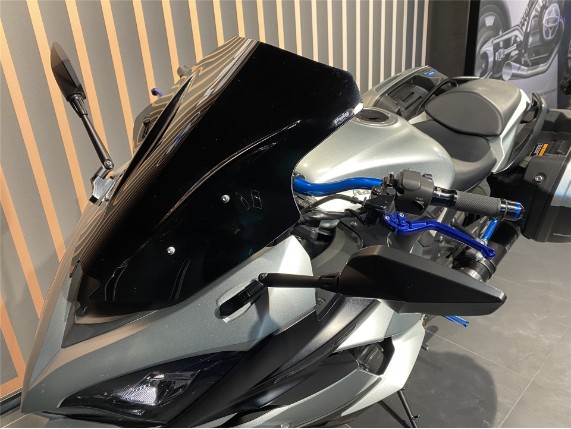 Kawasaki Z 1000 SX, 0445391
