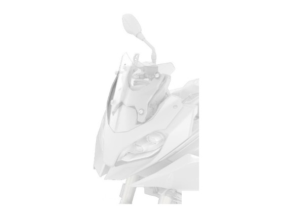 Windschild Sport klar