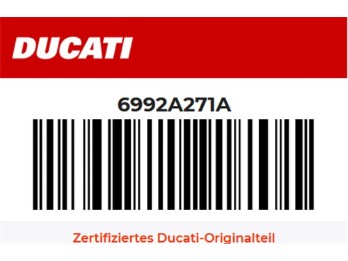 Verkleidungssatz Desmo 450 MX 