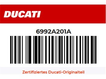 Schwingenlager Desmo 450 MX