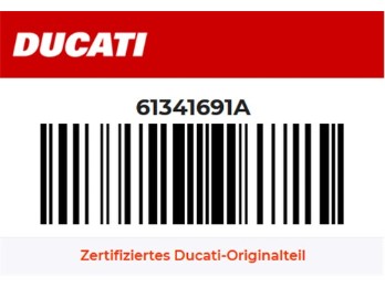 Bremsbelagsatz Desmo 450 MX