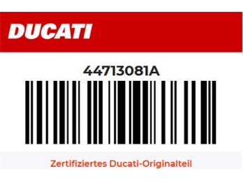 Kettenschleifer Schwinge unten links MX450