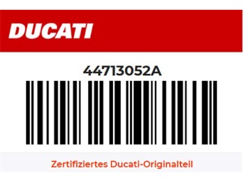 Kettenschleifer Schwinge vorne Desmo MX 450