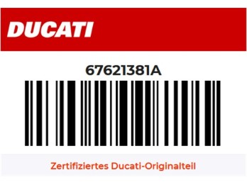 Kettensatz Panigale V4