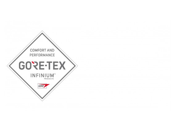 GTX Infinium Logo