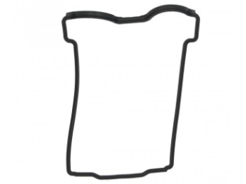 Ventildeckeldichtung RS, Tuareg, Tuono 660