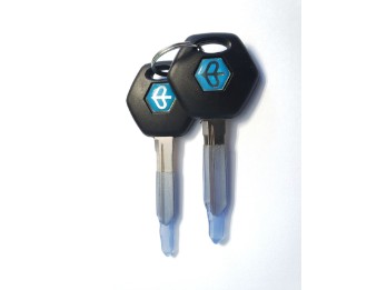 Schlüsselrohling, Inhalt: 1, Porter