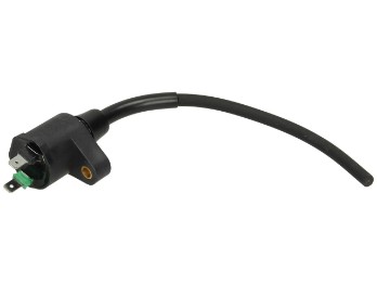 Zündspule Zündbox Atlantic Mojito Scarabeo Sport City 125