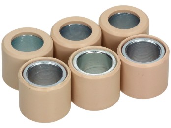 Variatorrollensatz 25x22,2 mm X9 Beverly Nexus Atlantic 500