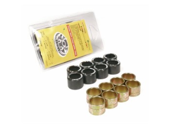 Variatorrollen MALOSSI HT Roll 14,0g, 25x17 mm, Aprilia Gilera Peugeot Piaggio