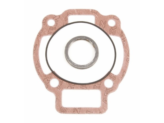 Dichtsatz Zylinder MALOSSI für 172 ccm
