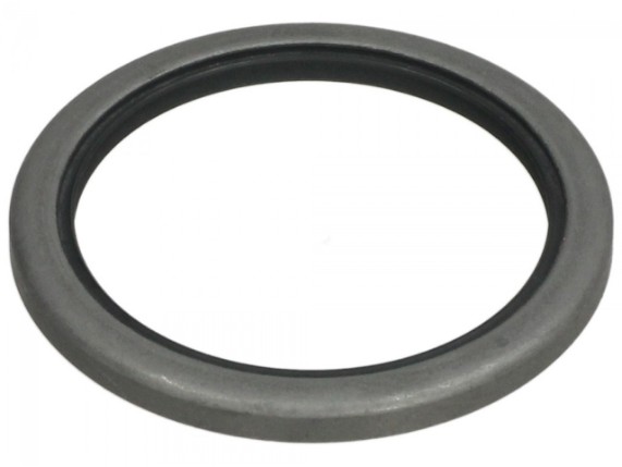 Dichtring Hinterradnabe