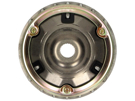 Variator mit 6 Rollen