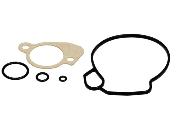 Vergaserdictsatz Mikuni