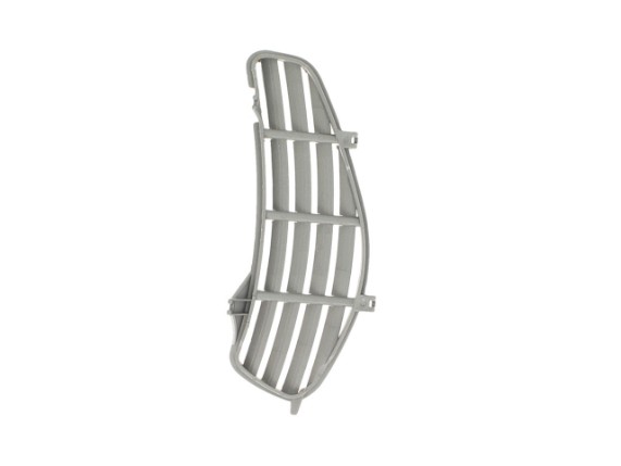 Grill Gepäckfach links