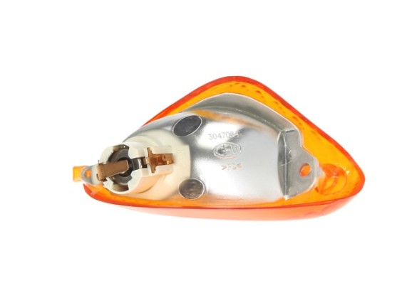Blinker vorne, links